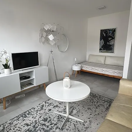 Διαμέρισμα Loft Φρόιντενσταντ